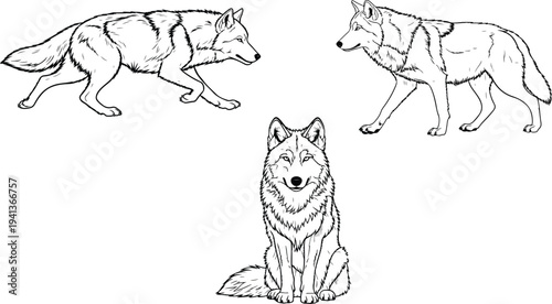 wolf vector icon shit