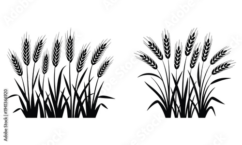 Two Black Silhouettes of Wheat Stalks with Grass grain