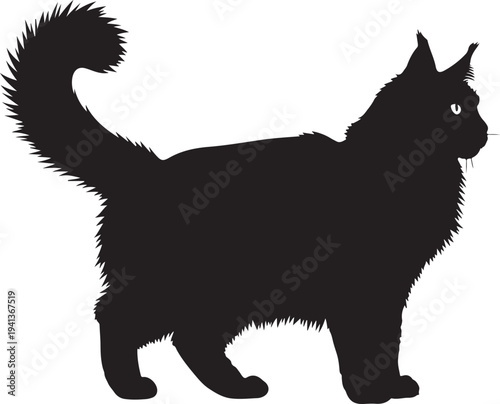 Maine coon cat silhouette profile view