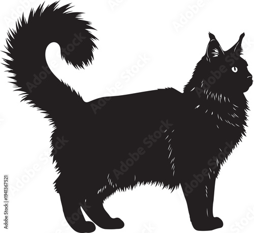 Silhouette of a standing black cat with fluffy tail and fur
