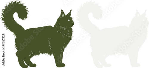 Silhouette of a standing black cat with fluffy tail and fur
