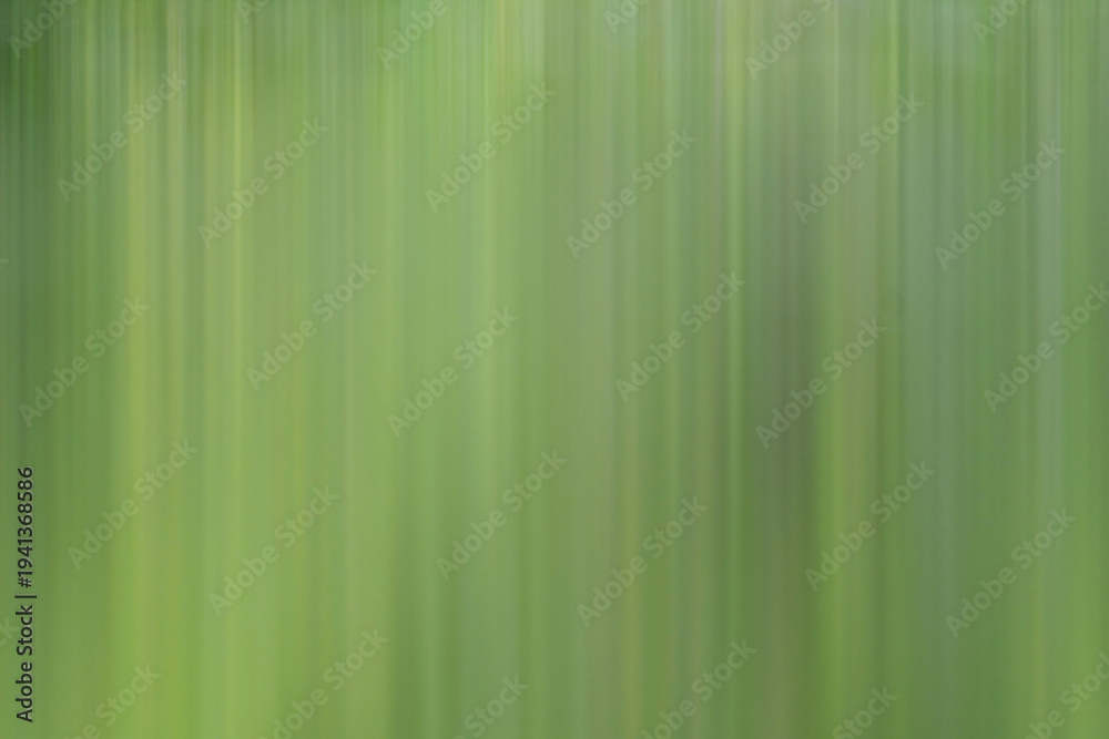 Obraz premium Abstract natural green background