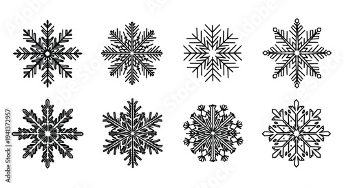 Intricate designs of various snowflakes showcasing natural crystalline patterns and complexity