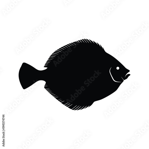 Black and white fish detailed fins silhouette vector illustration design, flounder silhouette vector illustration
