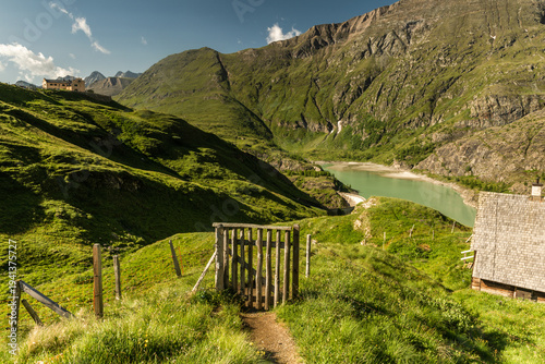 Green Alpine Meadows and Peaks in Austria
