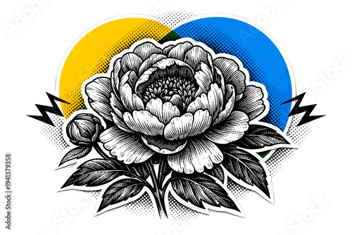 Detailed black and white botanical flower engraving cropped closely to highlight line texture, overlapping yellow and blue geometric circles forming a halo
