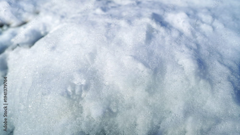 Obraz premium Detailed Surface of Fresh Snow with Glittering Ice Crystals