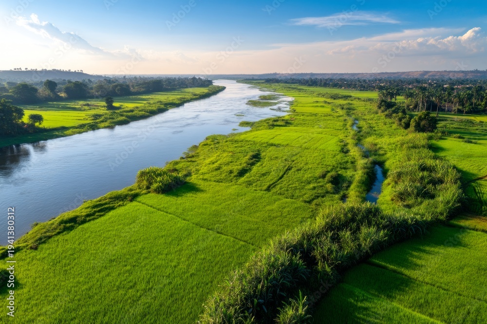 Fototapeta premium Aerial View of the Winding Nile River Surrounded by Lush Green Fields and Vegetation