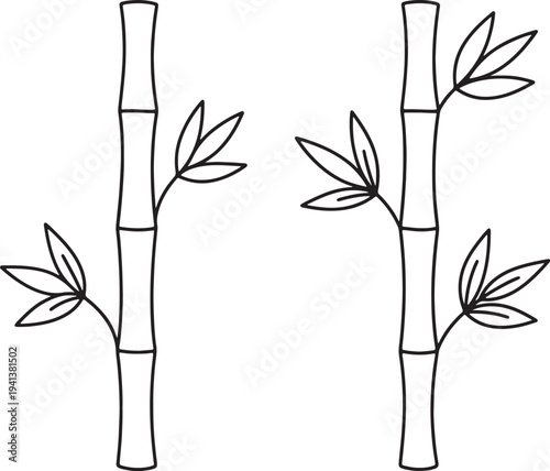 Two black line drawn bamboo stalks with leaves on white background also transparent background black lines