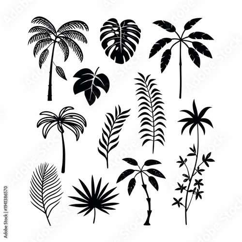 Tropical Palm Tree Silhouette Collection Vector Set