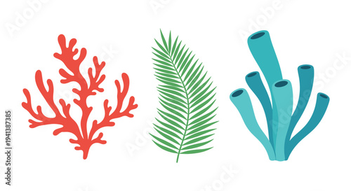 Set of stylized sea plants featuring red branching coral, a green palm leaf, and light blue tube sponges isolated on a white background.