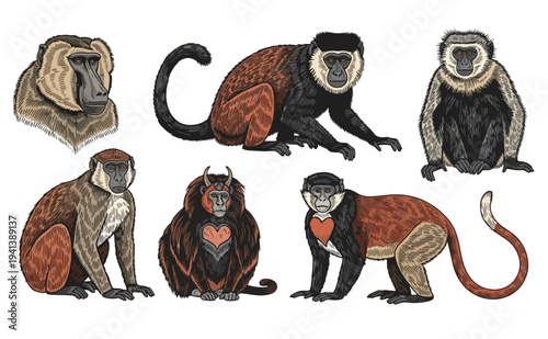 Collection of Hand-Drawn Monkeys with Unique Patterns and Textures