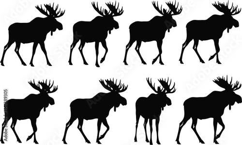 Black silhouette moose vector illustrations, walking stance with antlers, wildlife animal design elements for nature art, educational pattern, and decorative use
