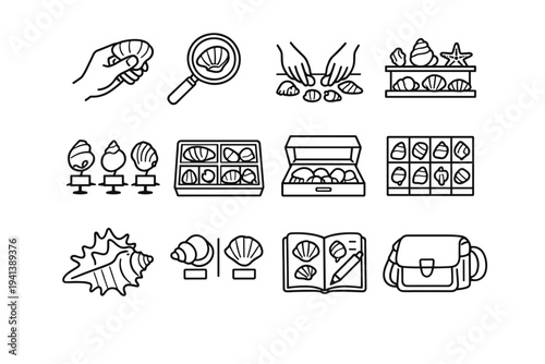 Shell Collecting Hobby. Line icon set of Shell Collecting Hobby: hand holding shell, magnifying glass shell, shell sorting, shell display, labeled shell, shell