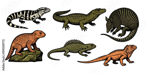 Collection of Various Reptiles and Armadillo Illustrations on White Background