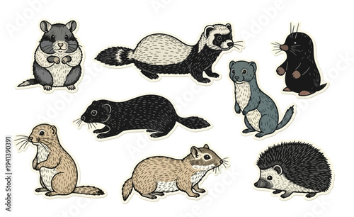 Collection of Cute Hand-Drawn Woodland Animals in Vector Style