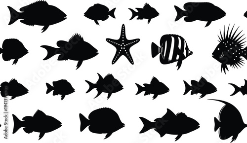 Black silhouette sea creature vector illustrations, diverse marine life designs including fish and starfish, aquatic nature art for educational and decorative use