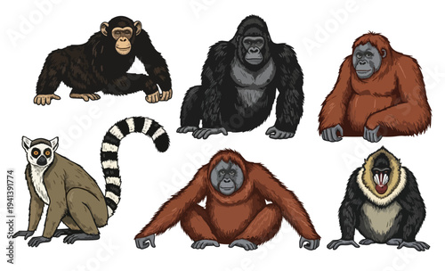 Collection of Various Cartoon Primates in Playful Poses on White Background