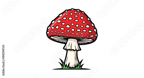 Illustration of a classic amanita muscaria mushroom with white spots