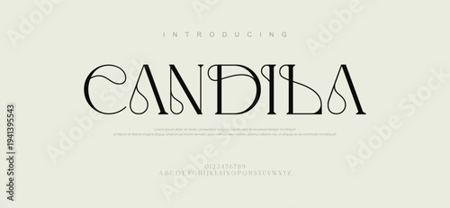 Candila typography beauty fashion elegant minimalist serif italic fonts decorative wedding vintage retro logos. Minimal luxury font alphabet logo. Vector illustration
