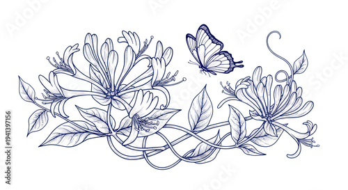 Elegant Honeysuckle Flowers and Butterfly Illustration, Delicate Blue Line Art Border