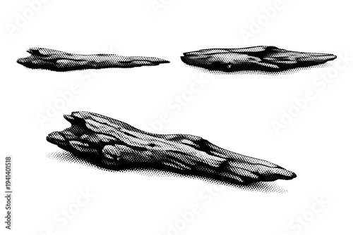 Driftwood weathered branch shown from side profile, rotated top view, and angled three-quarter view as the same naturally eroded wooden form with realistic