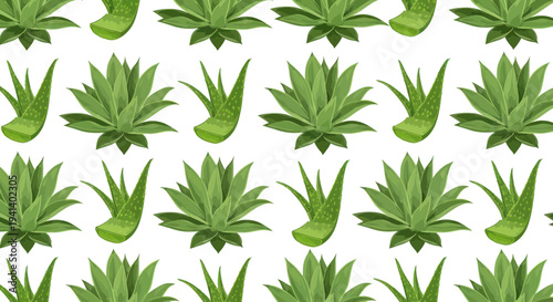 Seamless Aloe Vera Plant Pattern, Green Succulent Botanical Illustration