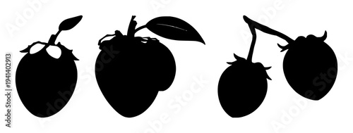 Mangosteen fruit set with solid black silhouette featuring tropical exotic theme, leaf crown, black and white illustration with fruit and foliage and botanicals