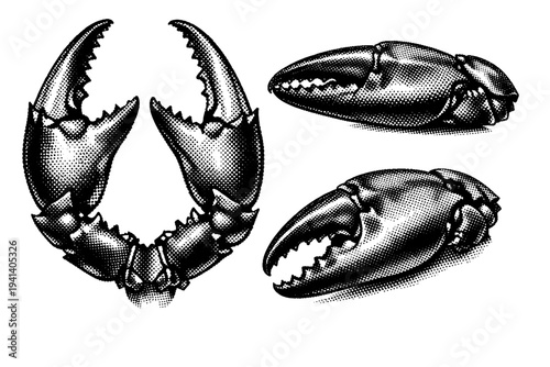 Blue crab claw study A realistic blue crab claw represented as one object in three views: frontal open claw view, side closed claw view, and angled