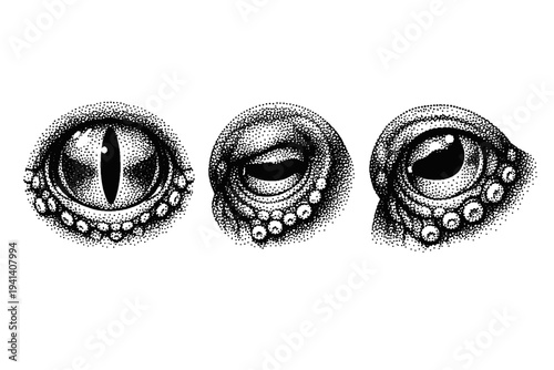 Common octopus eye, anatomically accurate octopus eye shown from frontal view, side profile, and angled perspective with realistic texture. Black and white dot