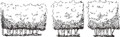 Bush, hedge square shapes sketchy set. Shrubbery for a garden or park illustration. Shrub and tree topiary as a boxwood. Vintage vector illustration of a yard trees in summer isolated on white bg.