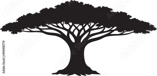 Giant Kapok Tree Massive Buttress Root and Wide Canopy Silhouette