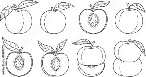 Collection of peach fruit line illustrations in different styles