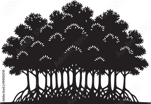 Mangrove Swamp Edge Tangled Exposed Roots Tree Silhouette