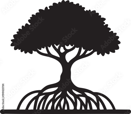 Mangrove Tree Stilt Roots Coastal Nature Silhouettes