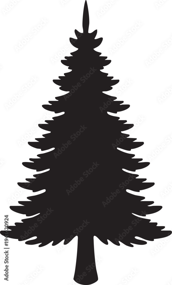 Obraz premium Norfolk Island Pine Symmetrical Tiered Conical Tree Silhouette