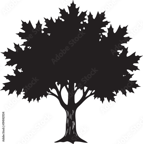Silver Maple Tree Deeply Lobed Star Shaped Canopy Silhouette