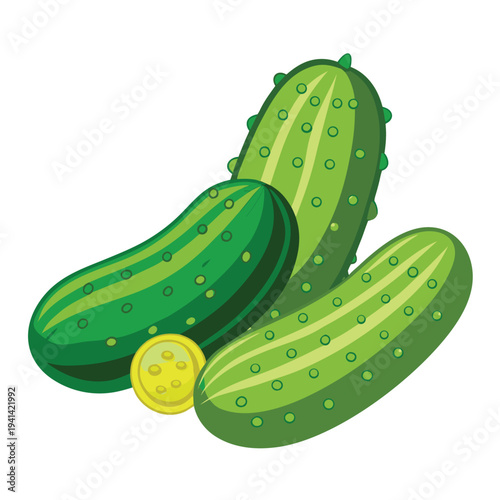 gherkin cucumber vector on white