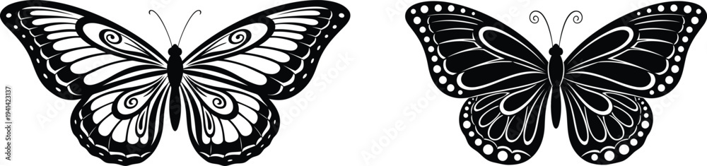 Obraz premium Pair of detailed black and white butterfly illustrations with intricate patterns