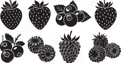 Variety of Berries Illustrations in Black and White Style