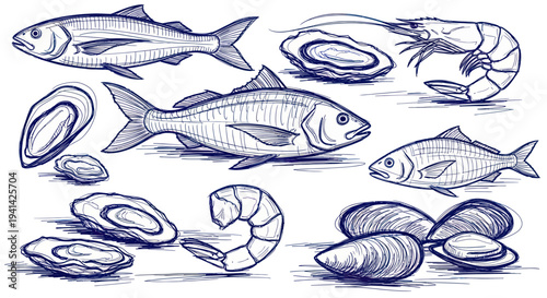 Collection of Hand Drawn Seafood and Fish Sketches.