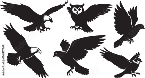 Collection of various bird silhouettes in flight and poses