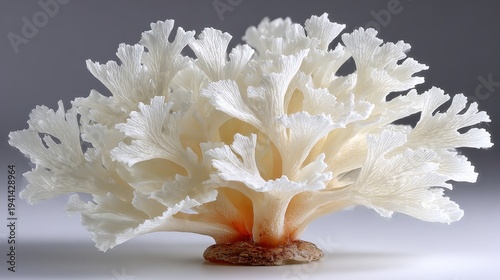 Elegant White Coral Sculpture with Intricate Details on Soft Gray Background