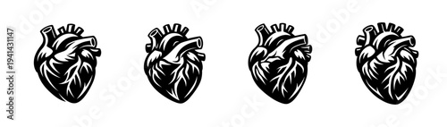 Set of four stylized human heart illustrations black and white vector design