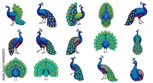 Collection of Diverse Peacock Poses and Displays