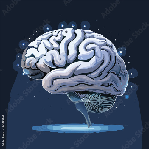 human brain
