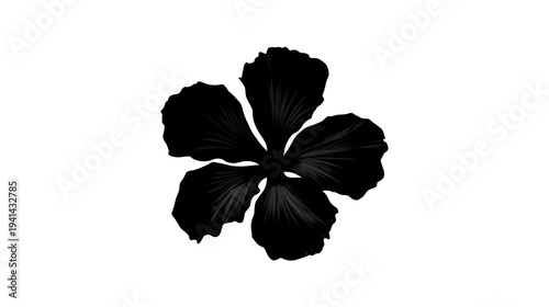 A unique monochrome close-up of a five-petal flower