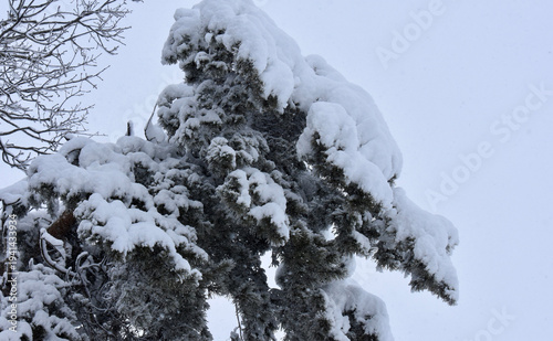 Schwerer Schnee 3