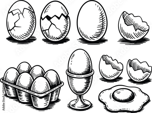 Hand drawn sketches of whole eggs, cracked eggshells and fried egg for organic farm food design
