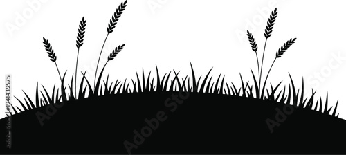 Silhouette of Grass and Wheat Stalks nature landscape